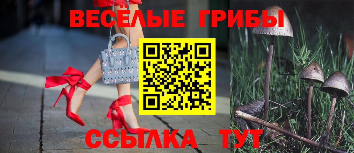 Магадан  Галлюциногенные грибы ЛСД  Вход с VPN  Псилоцибиновые грибы Magic Shrooms 