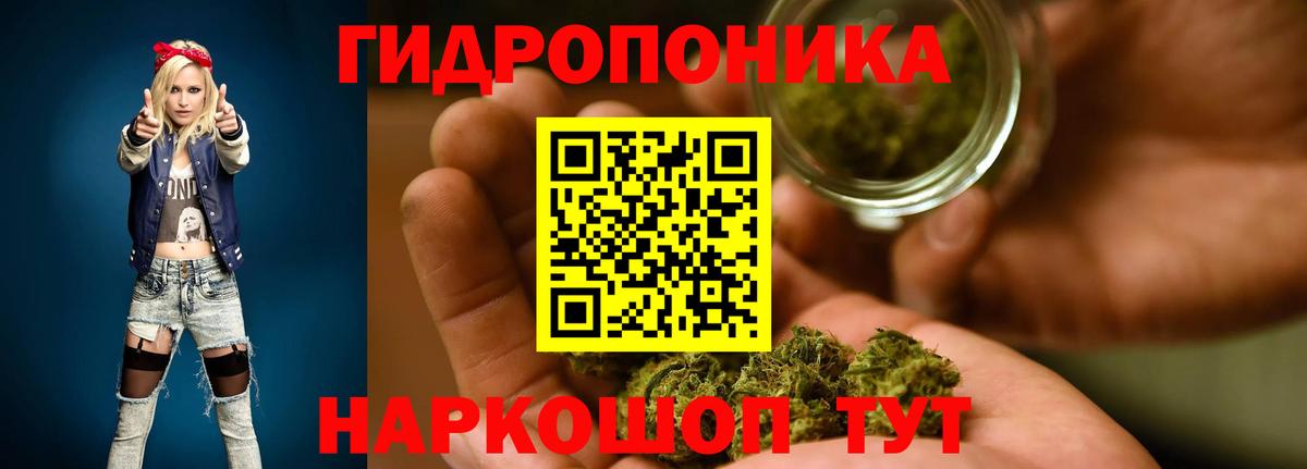 МАРИХУАНА SATIVA & INDICA Магадан